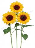 15640436902131_00261059-sunflower-vincent2-choice.jpg