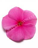 15775171904505_fvin048-lilac-copy.jpg