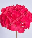 17527232745885_e186-geranium-day-carmine-red-is.jpg