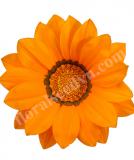 17531725661905_high-res-jpg-big-kiss-orange-is.jpg