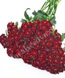 17537742658883_sweet-black-cherry-is.jpg